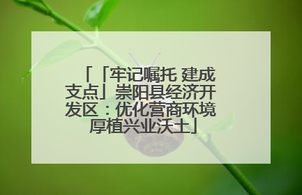 「牢记嘱托 建成支点」崇阳县经济开发区：优化营商环境 厚植兴业沃土
