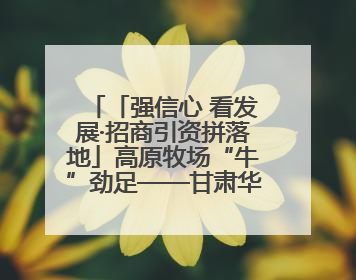 「强信心 看发展·招商引资拼落地」高原牧场“牛”劲足——甘肃华予高原牧场高标准奶牛肉牛养殖项目一线见闻