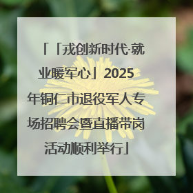 「戎创新时代·就业暖军心」2025年铜仁市退役军人专场招聘会暨直播带岗活动顺利举行