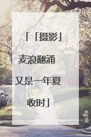 「摄影」麦浪翻涌 又是一年夏收时
