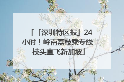 「深圳特区报」24小时！岭南荔枝乘专线 枝头直飞新加坡