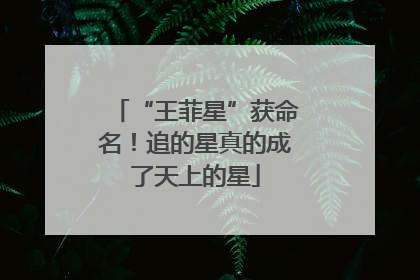“王菲星”获命名！追的星真的成了天上的星
