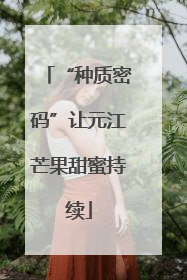 “种质密码”让元江芒果甜蜜持续