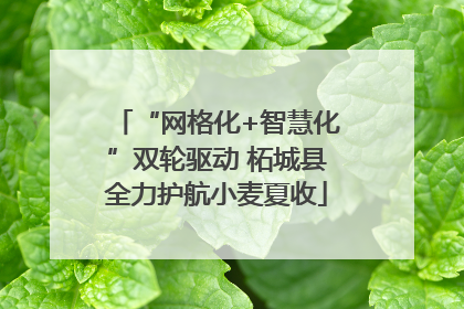 “网格化+智慧化”双轮驱动 柘城县全力护航小麦夏收