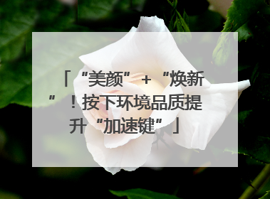 “美颜”+“焕新”！按下环境品质提升“加速键”