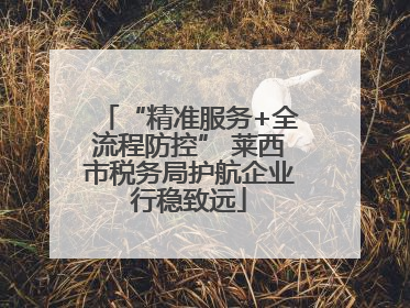 “精准服务+全流程防控” 莱西市税务局护航企业行稳致远