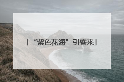 “紫色花海”引客来