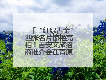 “红绿古金”四张名片惊艳亮相！吉安文旅招商推介会在青原区举行(图)