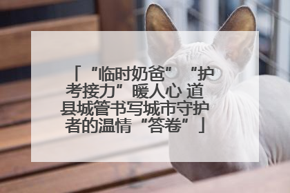 “临时奶爸”“护考接力”暖人心 道县城管书写城市守护者的温情“答卷”