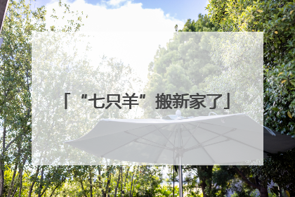 “七只羊”搬新家了