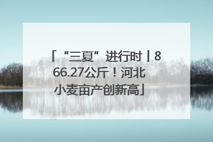“三夏”进行时丨866.27公斤！河北小麦亩产创新高