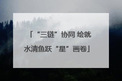 “三链”协同 绘就水清鱼跃“星”画卷