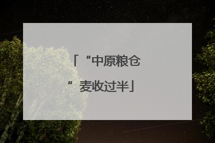 “中原粮仓”麦收过半