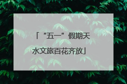 “五一”假期天水文旅百花齐放