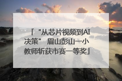 “从芯片视频到AI决策” 眉山彭山一小教师斩获市赛一等奖