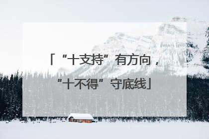 “十支持”有方向，“十不得”守底线