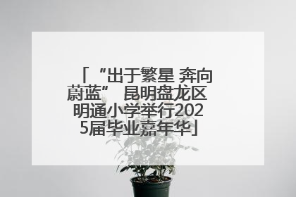 “出于繁星 奔向蔚蓝” 昆明盘龙区明通小学举行2025届毕业嘉年华