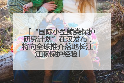 “国际小型鲸类保护研究计划”在汉发布，将向全球推介落地长江江豚保护经验