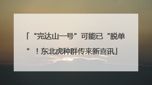 “完达山一号”可能已“脱单”！东北虎种群传来新喜讯