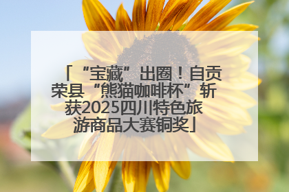 “宝藏”出圈！自贡荣县“熊猫咖啡杯”斩获2025四川特色旅游商品大赛铜奖