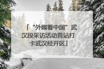 “外媒看中国”武汉段采访活动首站打卡武汉经开区