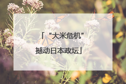 “大米危机”撼动日本政坛