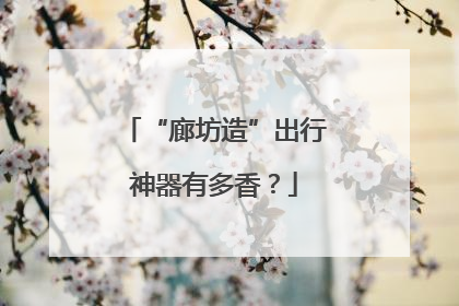 “廊坊造”出行神器有多香？
