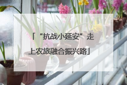 “抗战小延安”走上农旅融合振兴路