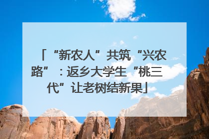 “新农人”共筑“兴农路”：返乡大学生“桃三代”让老树结新果