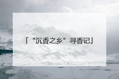 “沉香之乡”寻香记