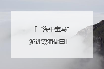“海中宝马”游进霞浦盐田