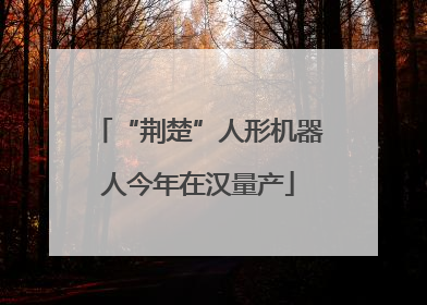 “荆楚”人形机器人今年在汉量产