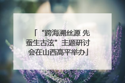“跨海溯丝源 先蚕生古泫”主题研讨会在山西高平举办