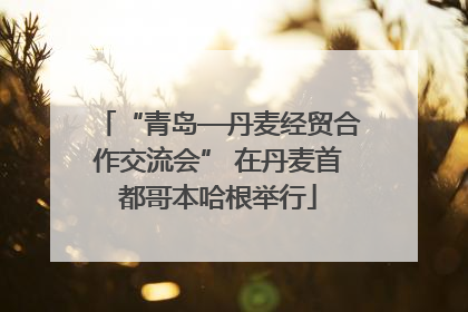 “青岛—丹麦经贸合作交流会” 在丹麦首都哥本哈根举行