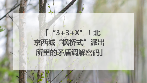 “3+3+X”！北京西城“枫桥式”派出所里的矛盾调解密码