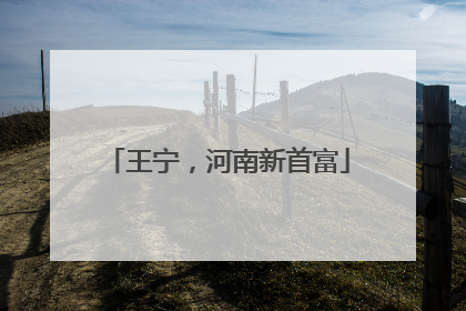 王宁，河南新首富