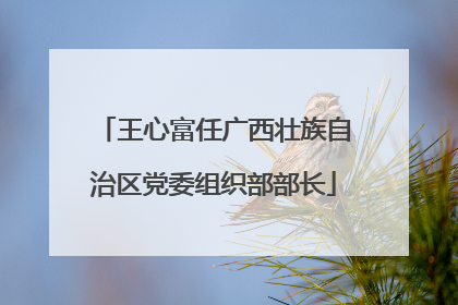 王心富任广西壮族自治区党委组织部部长