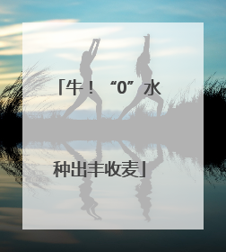 牛！“0”水种出丰收麦
