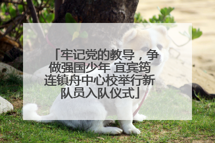 牢记党的教导，争做强国少年 宜宾筠连镇舟中心校举行新队员入队仪式