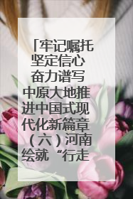 牢记嘱托 坚定信心 奋力谱写中原大地推进中国式现代化新篇章（六）河南绘就“行走河南·读懂中国”新画卷丨牢记嘱托谱新篇