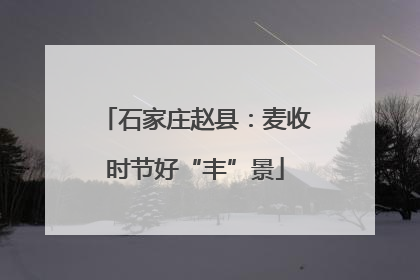 石家庄赵县：麦收时节好“丰”景