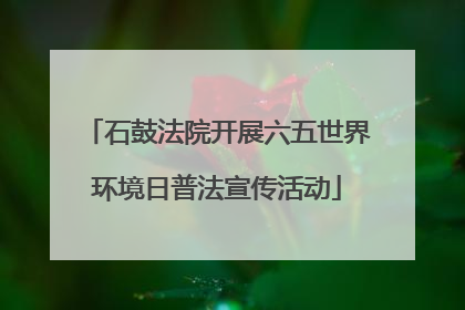 石鼓法院开展六五世界环境日普法宣传活动