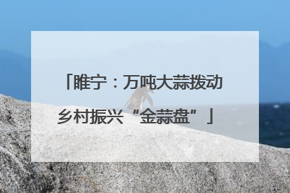 睢宁：万吨大蒜拨动乡村振兴“金蒜盘”