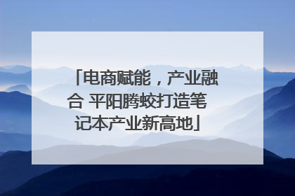 电商赋能，产业融合 平阳腾蛟打造笔记本产业新高地