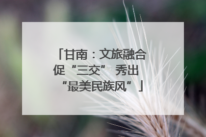 甘南：文旅融合促“三交” 秀出“最美民族风”