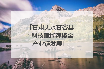 甘肃天水甘谷县：科技赋能辣椒全产业链发展