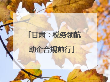甘肃：税务领航 助企合规前行