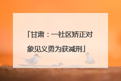 甘肃：一社区矫正对象见义勇为获减刑