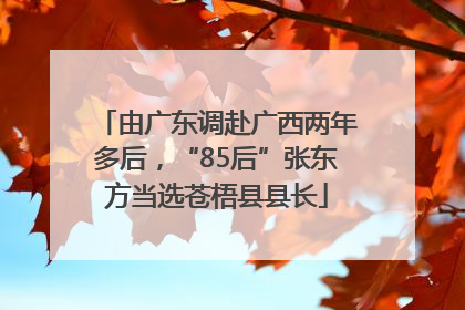 由广东调赴广西两年多后，“85后”张东方当选苍梧县县长