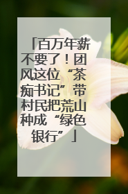 百万年薪不要了！团风这位“茶痴书记”带村民把荒山种成“绿色银行”